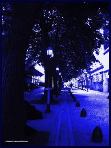 strada alberata blu